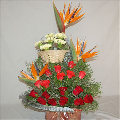 "Cool and Charming Wishes - Click here to View more details about this Product